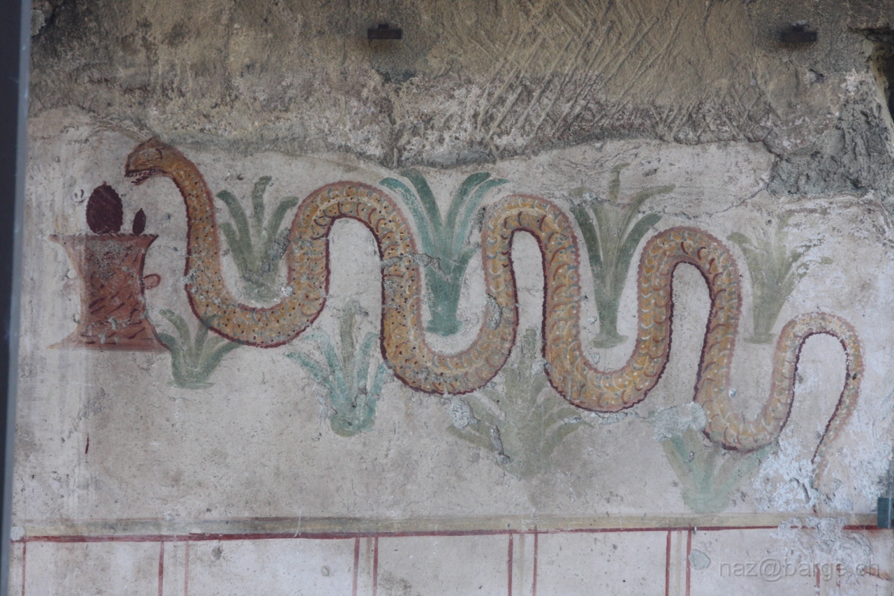 EOS 40D02_05_20120050.JPG